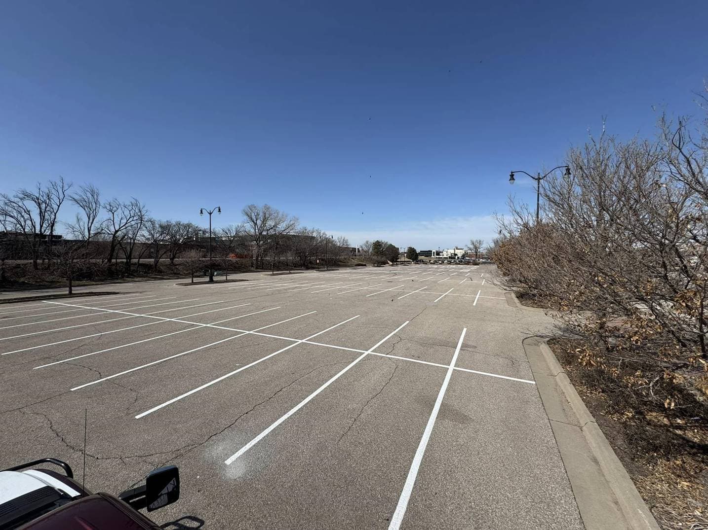 A wide, freshly striped parking lot with crisp white stall lines and cross-hatched no-parking zones, photographed under a clear blue sky with bare winter trees along the edge.